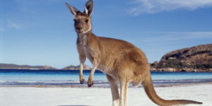 Necesito visado para viajar a Australia