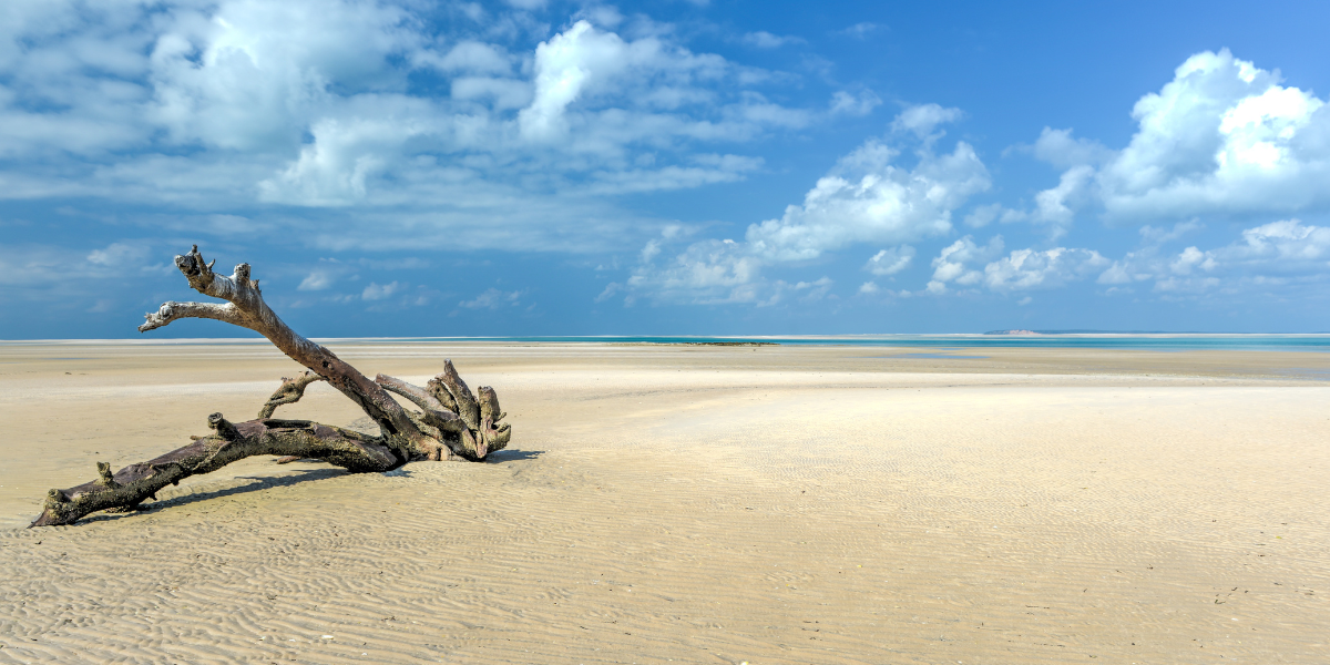 visado Mozambique