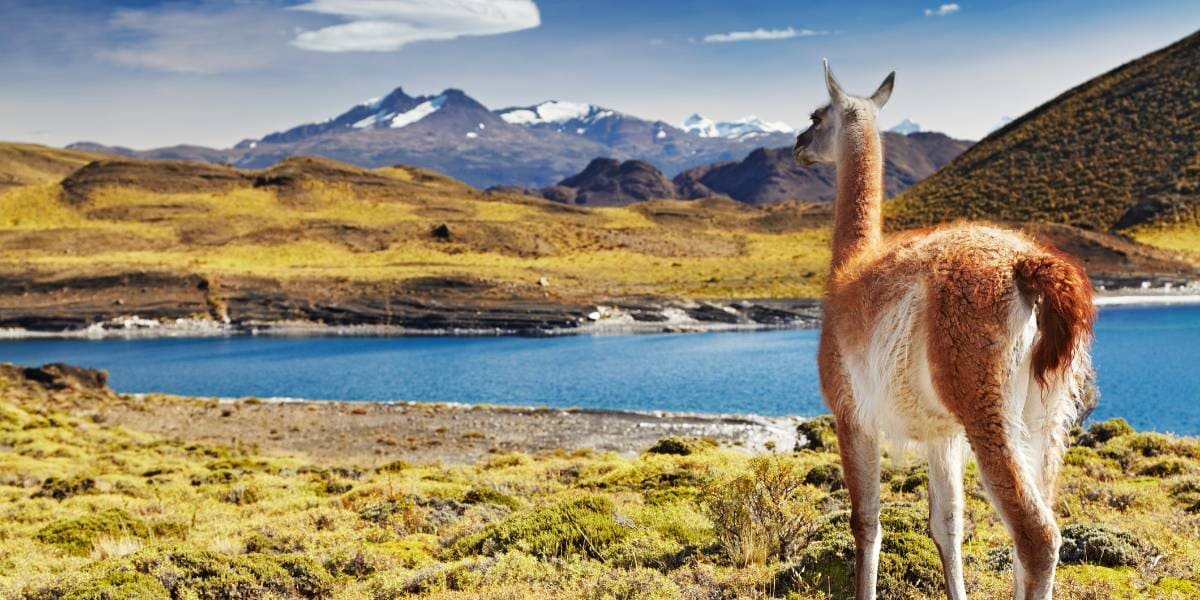 Torres del Paine